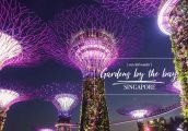 [รีวิว] Gardens By The Bay สิงคโปร์ เข้าโดมยักษ์ และ จุดชมวิวจาก Supertree สุดอลังการ