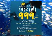 โปรโมชั่นดำน้ำลึก ( Scuba Diving ) ลด 1500 บาท มัดจำ 999 มาได้ตลอดชีพ