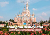 [รีวิว] พาเที่ยว Shanghai Disneyland รวมทุกสิ่งที่ควรรู้ก่อนไป ดิสนีย์แลนด์ เซี่ยงไฮ้ [Update 2024]